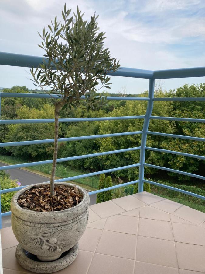 Libellula Apartman Heviz Bagian luar foto