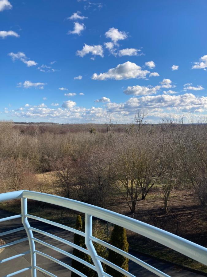 Libellula Apartman Heviz Bagian luar foto